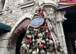 disneysea_xmas_9